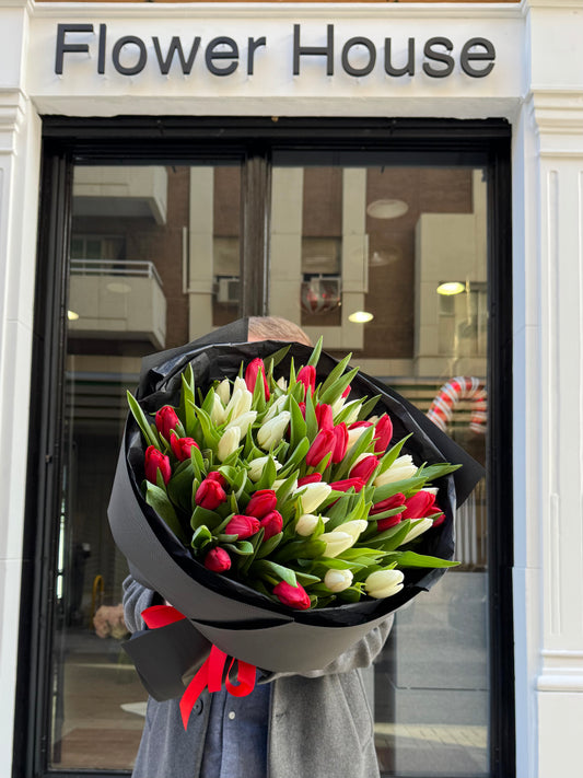 51 Tulips