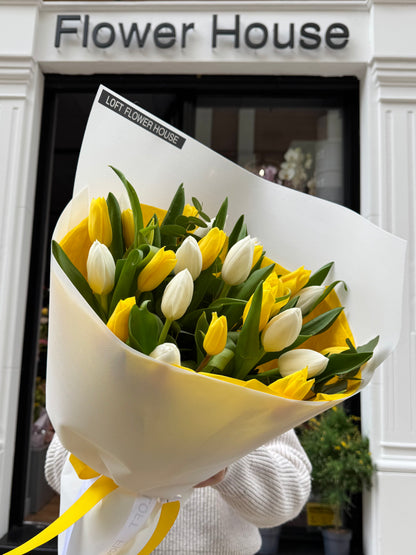 Sunny Elegance