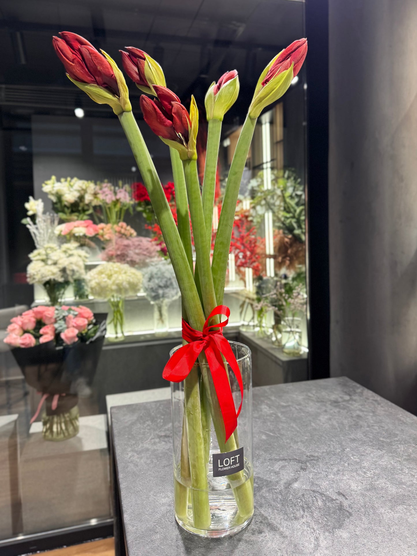 Amaryllis Red 5 Stems