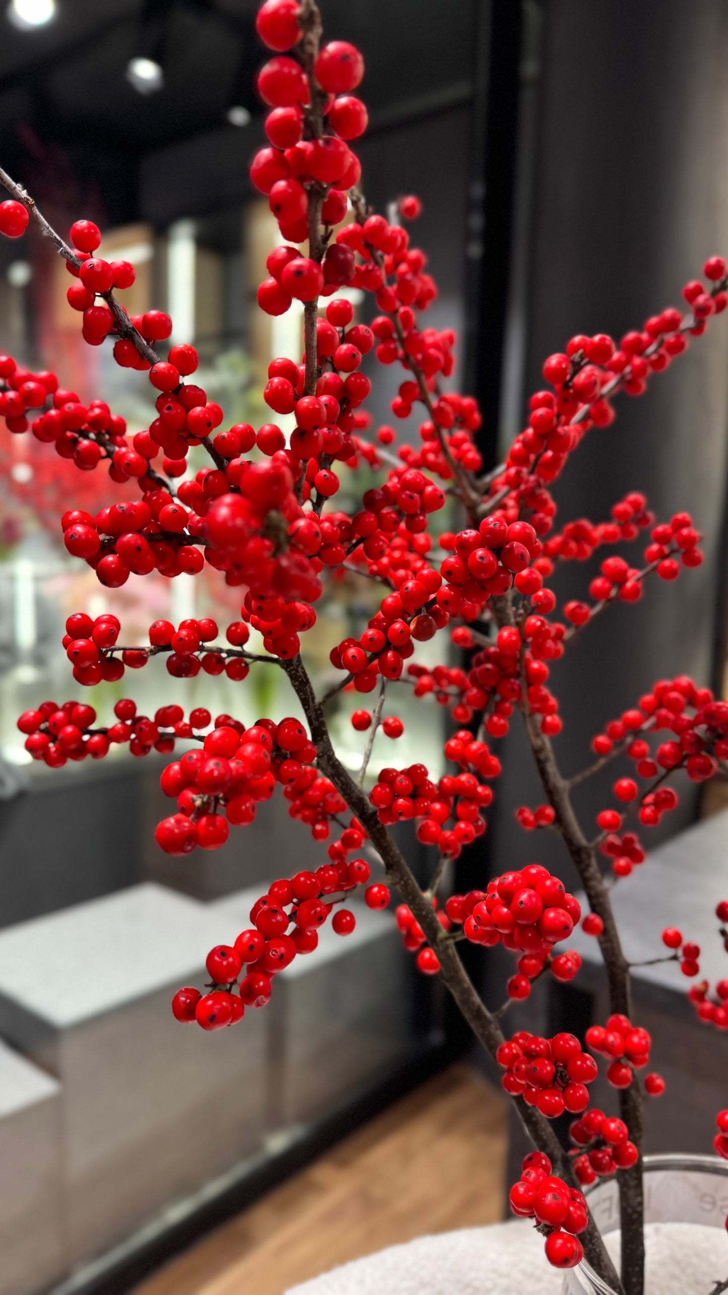 ILEX Premium Red 70cm - 5 Stems