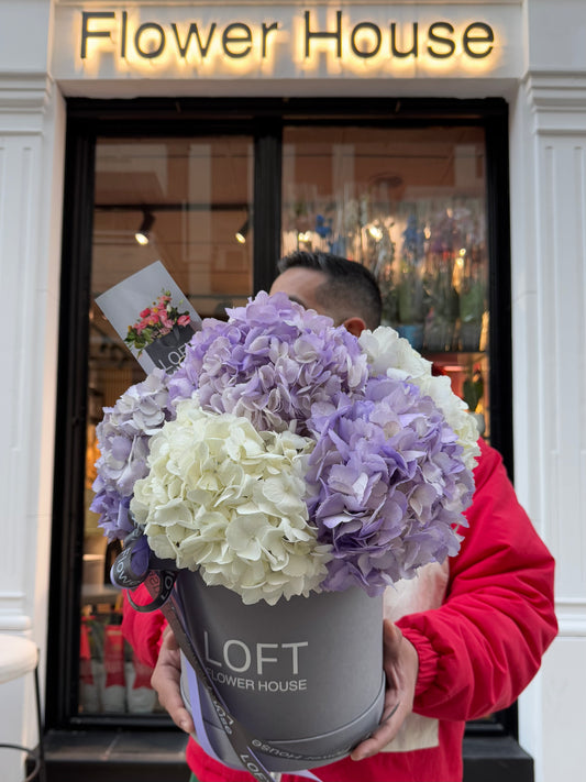 Caja de flores con flores moradas